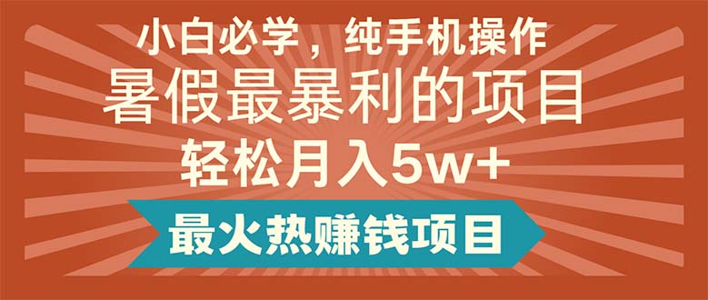 （11583期）小白必学，纯手机操作，暑假最暴利的项目轻松月入5w+最火热赚钱项目-聊项目