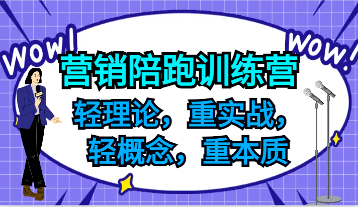 营销陪跑训练营,轻理论,重实战,轻概念,重本质,适合中小企业和初创企业的老板-聊项目