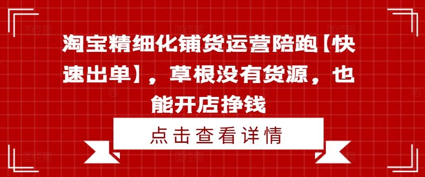 淘宝精细化铺货运营陪跑【快速出单】,草根没有货源,也能开店挣钱-聊项目