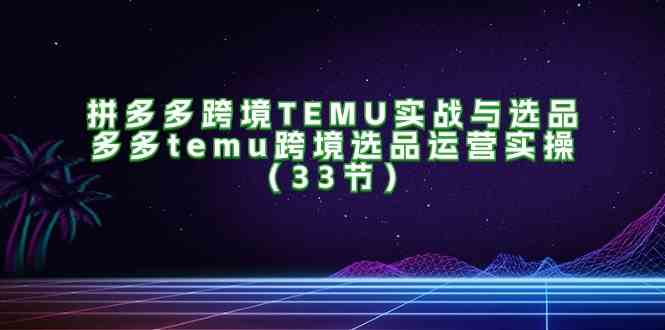 拼多多跨境TEMU实战与选品,多多temu跨境选品运营实操(33节)-聊项目