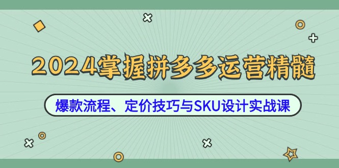 2024掌握拼多多运营精髓：爆款流程、定价技巧与SKU设计实战课-聊项目