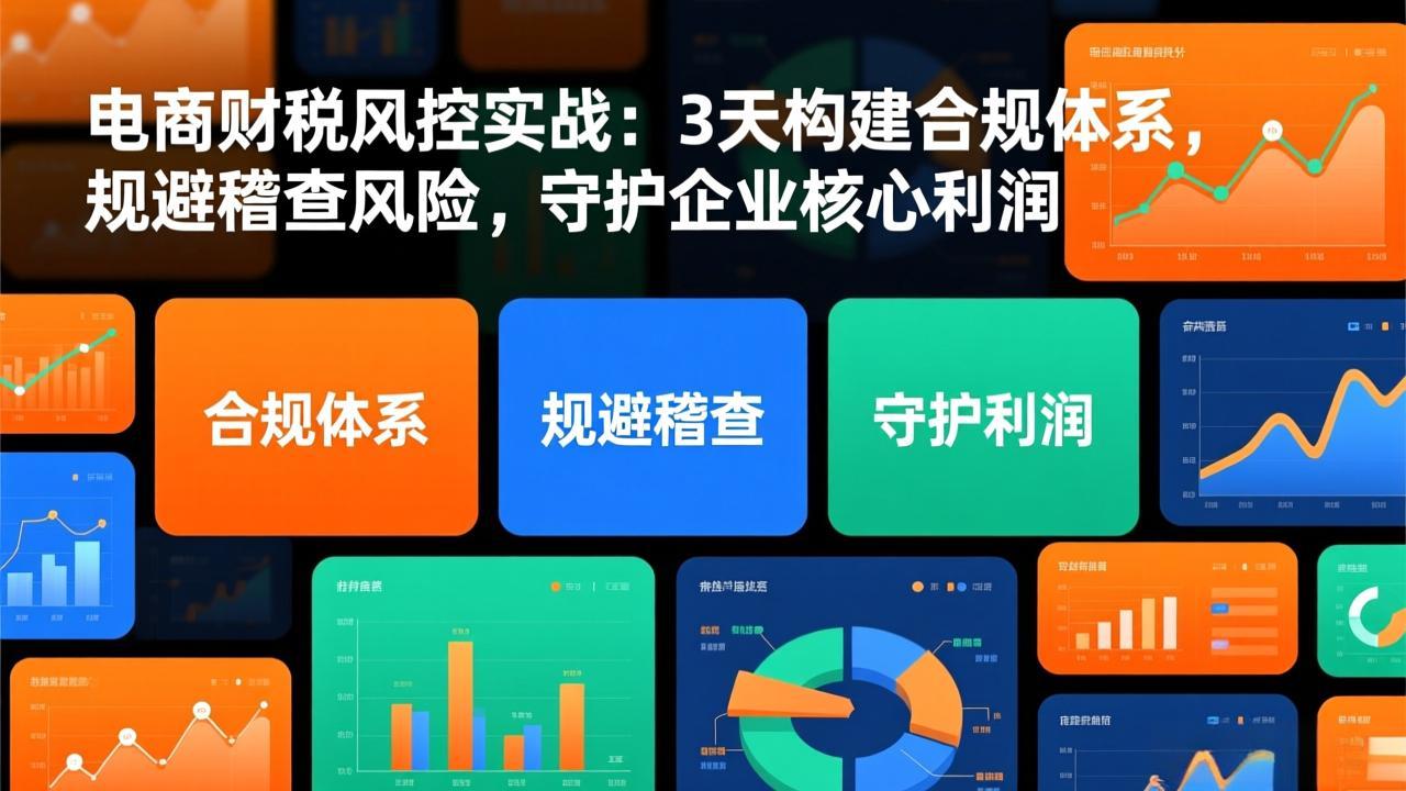 电商财税风控实战：3天构建合规体系，规避稽查风险，守护企业核心利润-聊项目