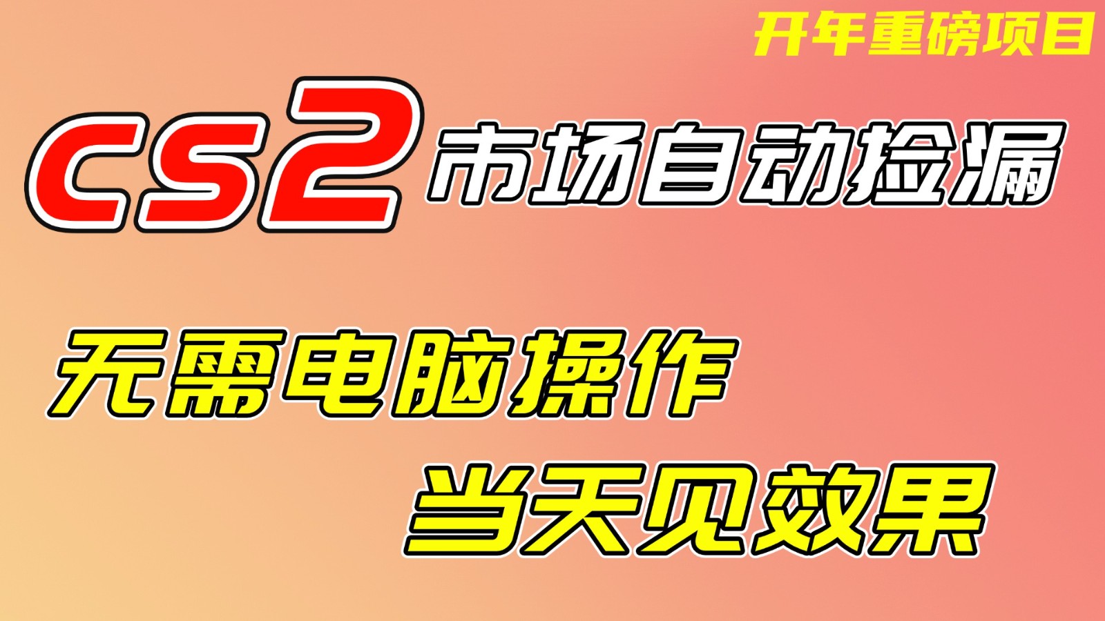 CS2市场挂机项，无需电脑操作，无需进入游戏，当天见效果，支持任何形式验证-聊项目