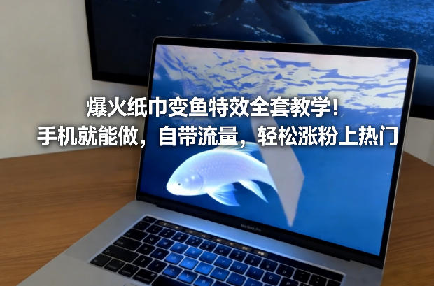 爆火纸巾变鱼特效全套教学！手机就能做，自带流量，轻松涨粉上热门-聊项目