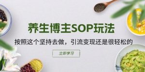 养生博主SOP玩法,按照这个坚持去做,引流变现还是很轻松的-聊项目