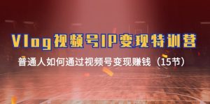 Vlog视频号IP变现特训营,普通人如何通过视频号变现赚钱(15节)-聊项目