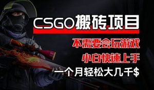 CSGO 装备搬砖项目,操作简单,不需要会玩游戏,小白也能快速上手,一个月轻松大几千【揭秘】-聊项目