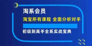 淘系会员初级到高手全系实战宝典【淘宝所有课程，全面分析对手】-聊项目