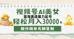 (12087期)视频号AI美女跳舞,轻松月入30000+,蓝海赛道,流量池巨大,起号猛,无…-聊项目