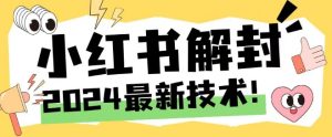 2024最新小红书账号封禁解封方法,无限释放手机号-聊项目