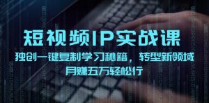 短视频IP实战课,独创一键复制学习秘籍,转战新领域,月赚五万轻松行-聊项目