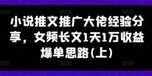 小说推文推广大佬经验分享，女频长文1天1万收益爆单思路(上)-聊项目