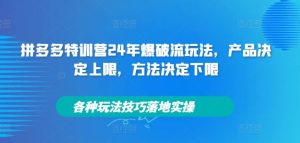 拼多多特训营24年爆破流玩法,产品决定上限,方法决定下限,各种玩法技巧落地实操-聊项目