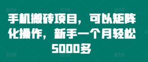 手机搬砖项目,可以矩阵化操作,新手一个月轻松5000多-聊项目