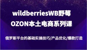 wildberriesWB野莓/OZON本土电商系列课,俄罗斯平台的基础实操技巧/产品优化/爆款打造-聊项目