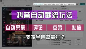 抖音自动截流玩法,利用一个软件自动采集、评论、点赞、私信,全域引流-聊项目