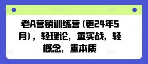 老A营销训练营(更24年9月),轻理论,重实战,轻概念,重本质-聊项目