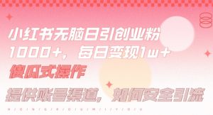 小红书无脑每日引流创业粉500+,小白每天只花半小时,躺赚长尾收益【揭秘】-聊项目