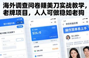 海外调查问卷賺美刀实战教学,老牌项目,人人可做稳如老狗-聊项目