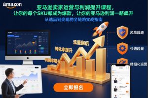 亚马逊卖家运营与利润提升课程,让你的每个SKU都成为爆款,让你的亚马逊利润一路飙升(更新12月)-聊项目