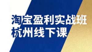 淘宝盈利实战班杭州线下课12月26-28日(音频+字幕),帮你掌握SOP流程+12门核心技术-聊项目