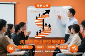淘宝全套运营现场课程(更新26年1月),从基础到高阶,拆解淘宝核心玩法-聊项目