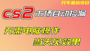 CS2市场挂机项,无需电脑操作,无需进入游戏,当天见效果,支持任何形式验证-聊项目