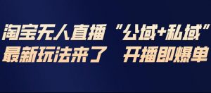 淘宝无人直播完整教程，公试+私域，最新玩法来了，开播即爆单-聊项目