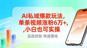 AI私域爆款玩法，单条视频涨粉6W+，小白也可实操-聊项目
